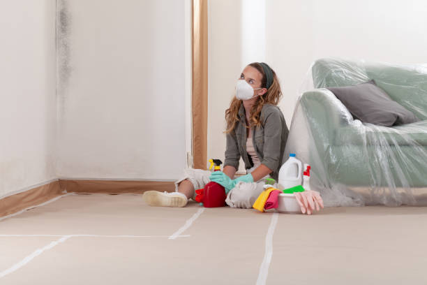 Reliable Crawl Space Mold Removal contractor in Freeport, NY by WQB Mold Removal